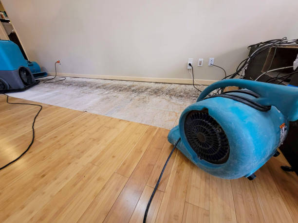 Professional Water Damage Repair technician working in Amsterdam, NY